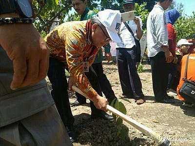 Peringatan Hari Kakao di Kabupaten Solok - foto 3